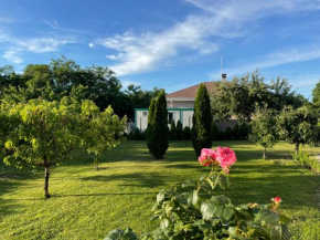 Borovets Guesthouse, Varna